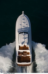 bertram yachts